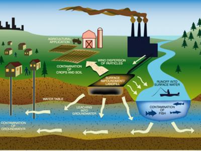 Pollution doesn't stay in just one location--its hazards can spread to ...