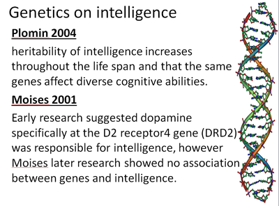 Genetics Of Intelligence