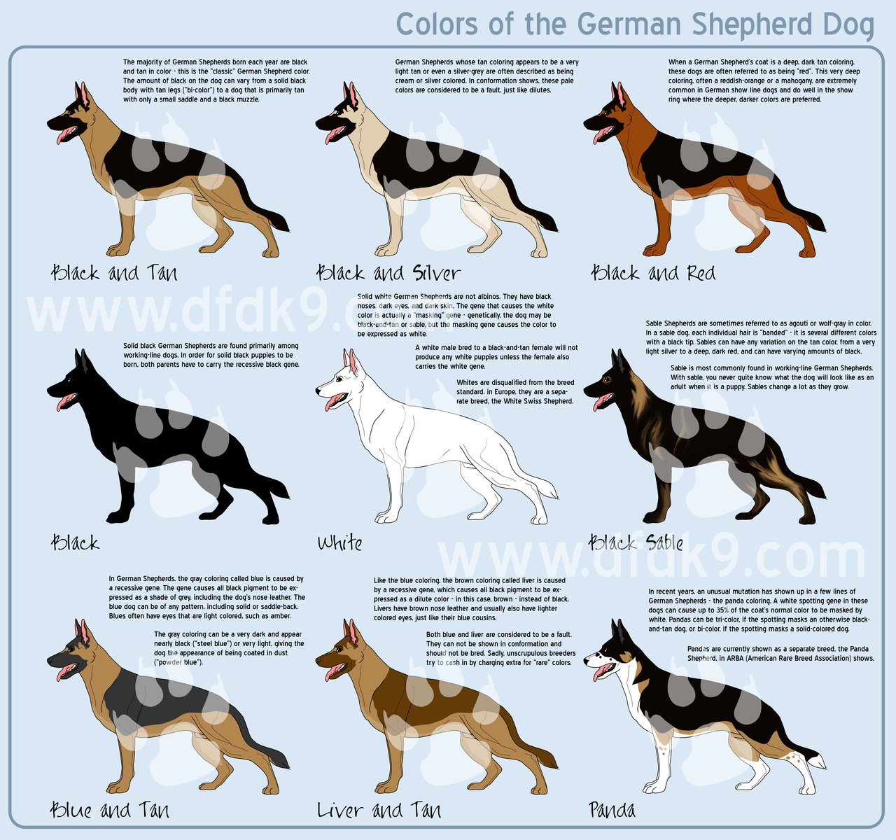 German Shepherd Coat Color Chart