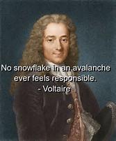 One Of Voltaire's Most Famous Quotes.