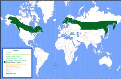 Its A Map Of The Taiga   420fd690f565e9272a979bd26e525ef0 