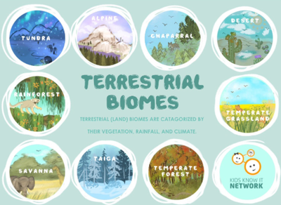 A biome is a large community of vegetation and wildlife adapted to a ...