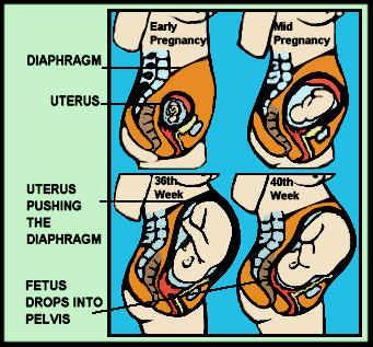 Shortness of breath during pregnancy