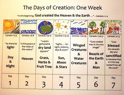 There were seven days of creation. God created something new on every ...