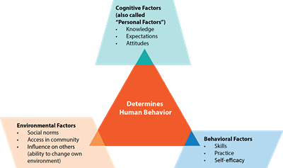 Social Cognitive Theory (SCT), developed by Albert Bandura , proposes ...
