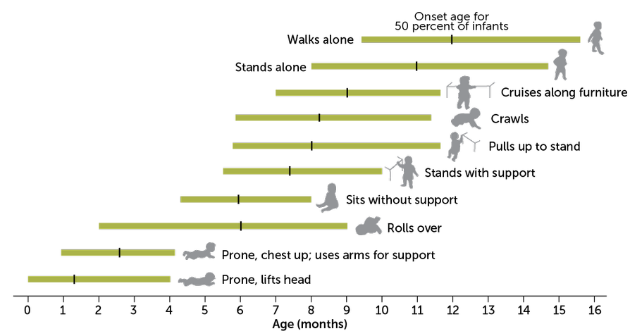 this-is-an-overview-of-the-10-different-motor-development-milestones