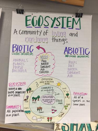 ecosystems-unit-special-education-ecosystems-unit-middle-school