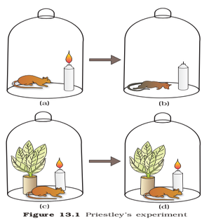 Discovery of Oxygen (and photosynthesis)