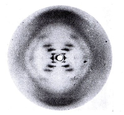 First clearly crystalline X-ray diffraction patterns from DNA fibers