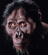 14 Million Years Ago