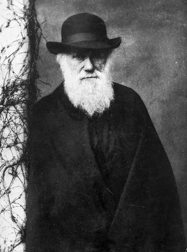 Darwin Pattern Darwin, Charles. “Charles Darwin - Evolution, Natural Selection ...