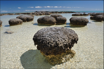 3.5 Billion Years Ago