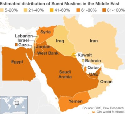 Sunni Muslims