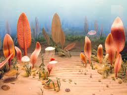 The first signs of life appear in the oceans!
