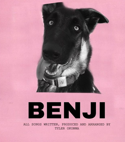 no pictures of current Benji except for this one.