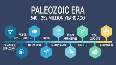 https://earthhow.com/wp-content/uploads/2018/11/Paleozoic-Era-1-678x378.png