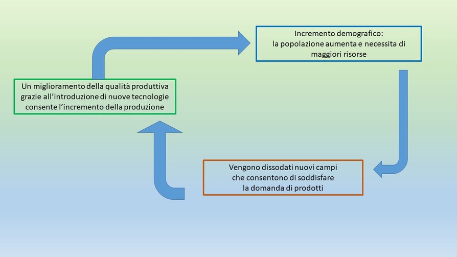 Differenze Tra Alto E Basso Medioevo Schema