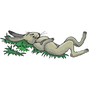 The Hare napping