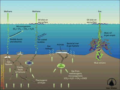 The effect of oils and chemicals within the sea.