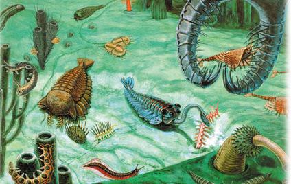 Cambrian Period, Paleozoic Era