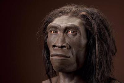 Homo erectus, the upright man, emerged around 1.5 million years ago ...