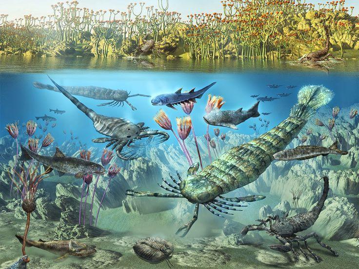 Phanerozoic Eon The First Eon Of The Paleozoic Era.Started 542 MYA ...