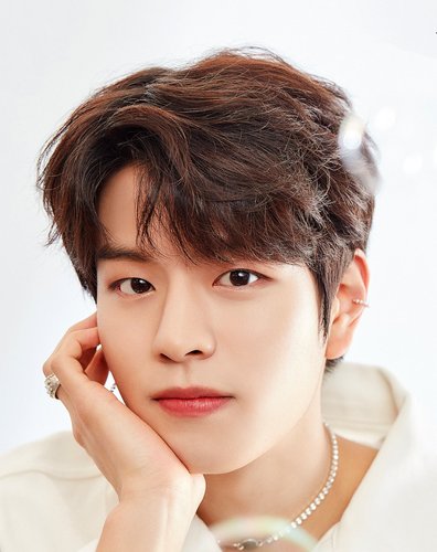 https://stray-kids.fandom.com/wiki/Seungmin