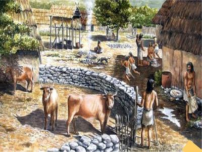 This Shows How The Neolithic Kept Their Animals After Domestication Was 