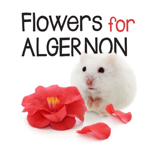 Flowers for Algernon | Sutori