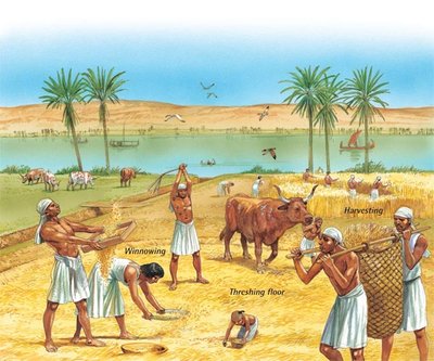 https://www.q-files.com/history/ancient-egypt/farming-in-ancient-egypt/