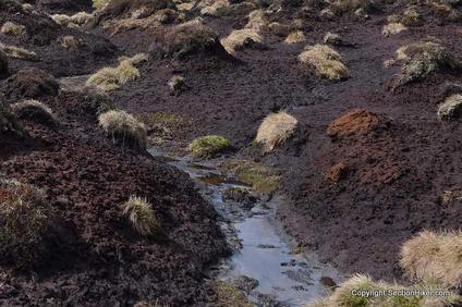 Polluted Bogs sectionhiker.com