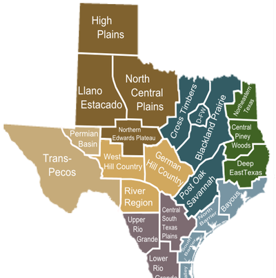 The coastal region can be divided - Picture14