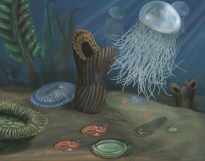 Proterozoic eon. Life begins in sea. Started 2500 MYA.