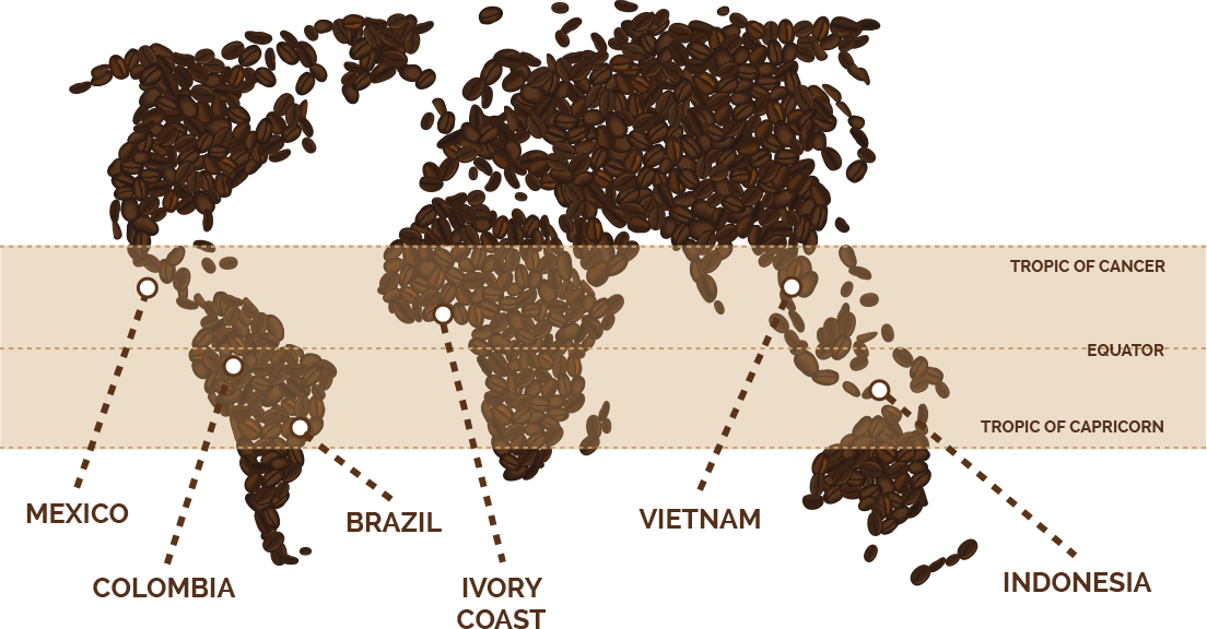 Кофейный пояс. Выращивание кофе страны. Страны выращивающие кофе. Страны где выращивают кофе. Страна крупнейший производитель кофе