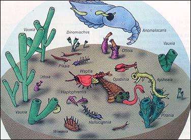 Cambrian Period | Sutori