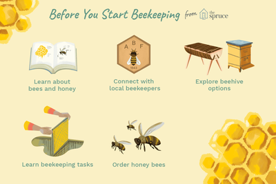 6 ways to join the beekeeping community - PerfectBee