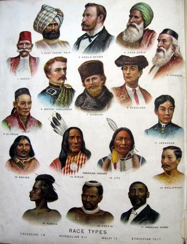 How Were Different Races Formed Share