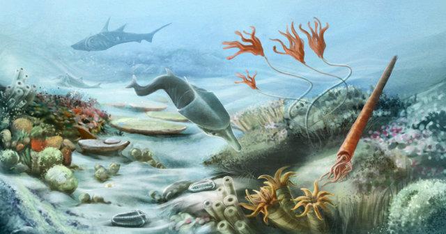 3rd. Proterozoic eon ocean life began because of oxygen. 2,500 MYA.