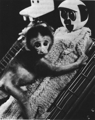Monkey Project