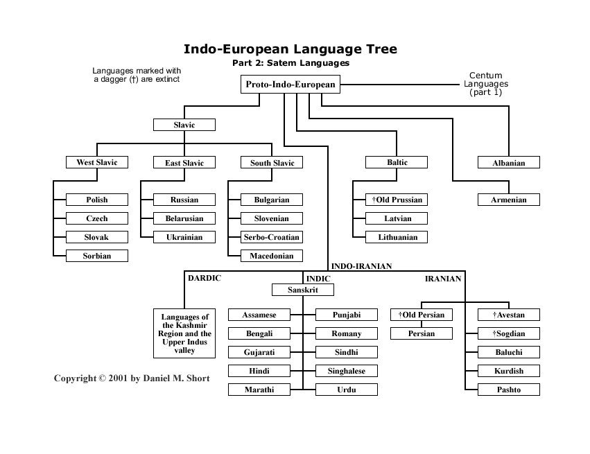 Язык tree. Indo European languages Tree. Family Tree of Germanic languages. Indo-European languages classification. Indo European language Family.