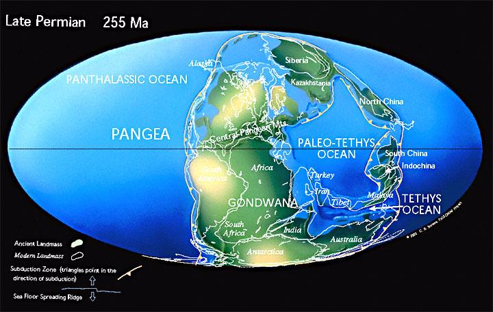 The landmasses of the Permian Period were in a large piece.