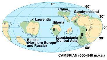 This is a map of the earth during the Cambrian period