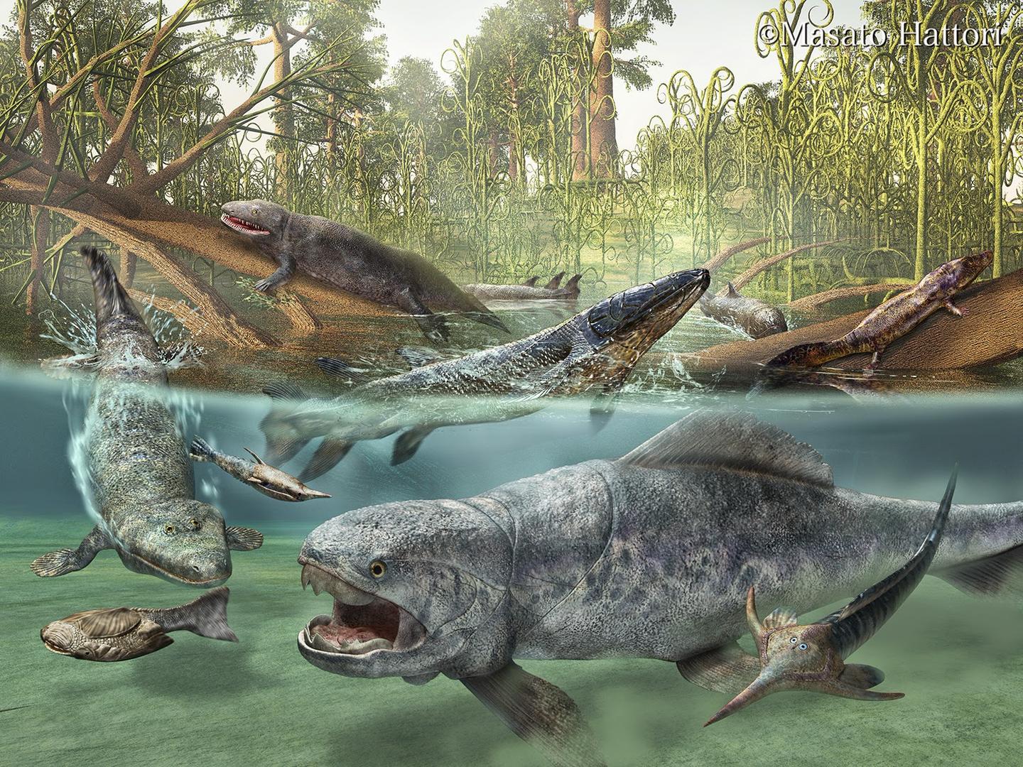 the-4th-period-of-the-phanerozoic-eon-paleozoic-era-was-the-devonian