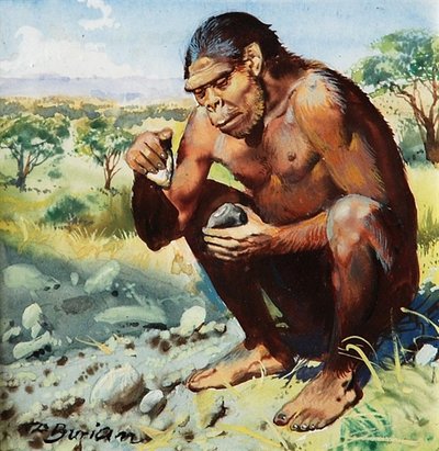 The first of the genus 'homo' [human] Nicknamed the 'Handy-man' First ...