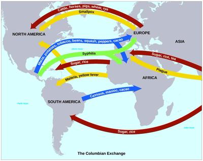columbian exchange atlantic diseases globalization goods early 1492 1650 european exploration americas diffusion ocean history cultural commerce map crossing trade