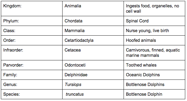Marine Classification Chart