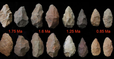 Baboons Using Tools https://phys.org/news/2013-03-ancient-stone-tools-pace-remarkable.html