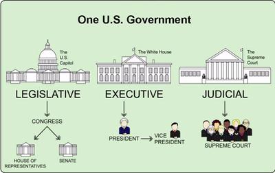 government branches three branch executive legislative constitution building judicial articles laws federal studies social does test works they brainpop following