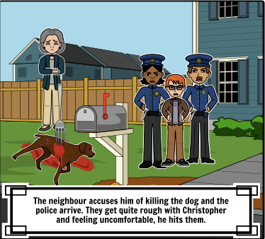 The Curious Incident of The Dog In The Night-Time | Sutori