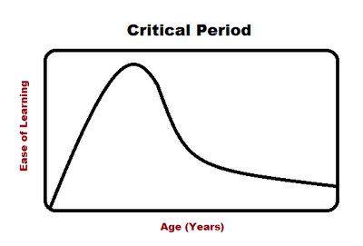 critical period hypothesis penfield and roberts